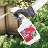 imageBonide Captain Jacks Insecticidal Super Soap 32 oz ReadytoUse Spray For Organic Gardening and Outdoor PlantsSoap