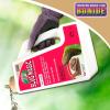 imageBonide Captain Jacks Slug Magic Granules 24 oz Snail ampamp Slug Killer For Organic Gardening Pet Safe FormulaGranules
