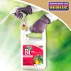 imageBonide Captain Jacks Thuricide BT 128 oz ReadytoUse with Sprayer Kills Worms and Caterpillars in Home Garden For Organic Gardening