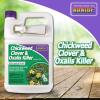 imageBonide Chickweed Clover ampamp Oxalis Killer 128 oz ReadytoUse Spray Controls Weeds ampamp Roots without Harming Lawn