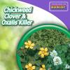 imageBonide Chickweed Clover ampamp Oxalis Killer 128 oz ReadytoUse Spray Controls Weeds ampamp Roots without Harming Lawn