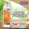 imageBonide Copper Fungicide 1 lb ReadytoUse Spray or Dust for Organic Gardening Controls Common Diseases in Lawn ampamp GardenDust