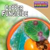 imageBonide Copper Fungicide 1 lb ReadytoUse Spray or Dust for Organic Gardening Controls Common Diseases in Lawn ampamp GardenDust