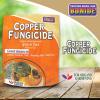 imageBonide Copper Fungicide 1 lb ReadytoUse Spray or Dust for Organic Gardening Controls Common Diseases in Lawn ampamp GardenDust