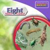 imageBonide Eight Insect Control Vegetable Fruit ampamp Flower 16 oz Concentrate Long Lasting Insecticide for Beetles and More