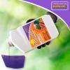imageBonide Fungonil MultiPurpose Fungicide 16 oz Concentrate for Plant Disease Control Controls Blight Mildew ampamp MoreConcentrate