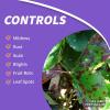 imageBonide Fungonil MultiPurpose Fungicide 16 oz Concentrate for Plant Disease Control Controls Blight Mildew ampamp MoreConcentrate
