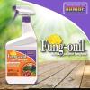 imageBonide Fungonil MultiPurpose Fungicide 32 oz ReadytoUse Spray for Plant Disease Control Controls Blight Mildew ampamp More32 oz