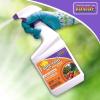 imageBonide Fungonil MultiPurpose Fungicide 32 oz ReadytoUse Spray for Plant Disease Control Controls Blight Mildew ampamp More32 oz Pack of 2