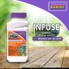 imageBonide Infuse Systemic Disease Control 16 oz Concentrated Solution for Plant Disease Control Long Lasting ampamp Waterproof8 oz