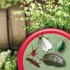 imageBonide Insecticidal Soap 32 oz ReadytoUse Spray MultiPurpose Insect Control for Organic Gardening Indoor and Outdoor1 quart