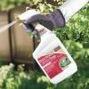 imageBonide Insecticidal Soap 32 oz ReadytoUse Spray MultiPurpose Insect Control for Organic Gardening Indoor and Outdoor1 quart