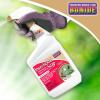 imageBonide Insecticidal Soap 32 oz ReadytoUse Spray MultiPurpose Insect Control for Organic Gardening Indoor and Outdoor32 oz Pack of 2