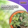 imageBonide Mancozeb Flowable with Zinc Fungicide 16 oz Concentrate Broad Spectrum Disease Control ampamp Prevention for Plants8 oz