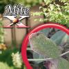 imageBonide MiteX Insecticide and Miticide 32 oz ReadytoUse Spray Botanical Extracts Control Mites Thrips and Aphids in Garden1Quart