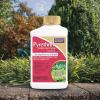 imageBonide Pyrethrin Garden Insect Spray Concentrate 8 oz ReadytoMix Fast Acting Insecticide for Outdoor Garden Use8 oz