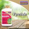imageBonide Pyrethrin Garden Insect Spray Concentrate 8 oz ReadytoMix Fast Acting Insecticide for Outdoor Garden Use8 oz Pack of 2