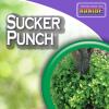 imageBonide Sucker Punch 32 oz ReadytoUse Spray Control Unwanted Plant Sprouts Plant Growth Regulator for Home Garden