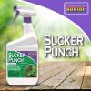 imageBonide Sucker Punch 32 oz ReadytoUse Spray Control Unwanted Plant Sprouts Plant Growth Regulator for Home Garden