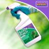 imageBonide Sucker Punch 32 oz ReadytoUse Spray Control Unwanted Plant Sprouts Plant Growth Regulator for Home Garden