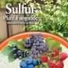 imageBonide Sulfur Plant Fungicide 4 lb ReadytoUse Micronized Spray or Dust for Organic Gardening Controls Common Diseases4 lbs Pack of 2