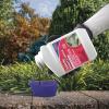 imageBonide Systemic Insect Control 16 oz Concentrate Long Lasting Insecticide for Outdoor Gardening Makes 16 Gallons