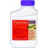 imageBonide Thuricide BT Concentrate 16 oz ReadytoMix Solution for Caterpillar Worm and Moth Control in Home Garden