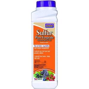 imageBonide BND141  Sulfur Plant Fungicide Organically Controls Rust Leaf Spot and Powdery Mildew 1 lb ReadytoUse