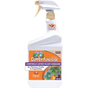 imageBonide Captain Jacks Copper Fungicide 32 oz ReadytoUse Spray for Organic Gardening Controls Common Diseases1 qt