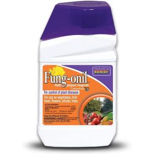 imageBonide Fungonil MultiPurpose Fungicide 16 oz Concentrate for Plant Disease Control Controls Blight Mildew ampamp MoreConcentrate