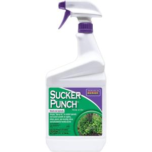 imageBonide Sucker Punch 32 oz ReadytoUse Spray Control Unwanted Plant Sprouts Plant Growth Regulator for Home Garden