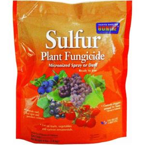 imageBonide Sulfur Plant Fungicide 4 lb ReadytoUse Micronized Spray or Dust for Organic Gardening Controls Common Diseases4 lbs