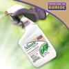 imageBonide All Season Horticultural ampamp Dormant Spray Oil 32 oz ReadytoUse Spray Disease Prevention and Insect Killer for Organic Gardening1