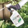 imageBonide All Season Horticultural ampamp Dormant Spray Oil 32 oz ReadytoUse Spray Disease Prevention and Insect Killer for Organic Gardening1