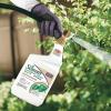 imageBonide All Seasons Horticultural ampamp Dormant Spray Oil 32 oz ReadytoSpray Disease Prevention and Insect Killer for Organic Gardening32 oz