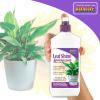 imageBonide Bonide11612 oz
