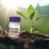 imageBonide Bontone II Rooting Powder 125 oz ReadytoUse Dust for Houseplants and Transplants Speeds Root Development125 oz Pack of 2