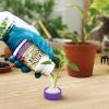 imageBonide Bontone II Rooting Powder 125 oz ReadytoUse Dust for Houseplants and Transplants Speeds Root Development125 oz Pack of 4