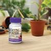 imageBonide Bontone II Rooting Powder 125 oz ReadytoUse Dust for Houseplants and Transplants Speeds Root Development125 oz Pack of 4