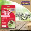 imageBonide Bug Beater Stink Bug Trap Attracts and Catches Stink Bugs Indoors and Outdoors Long Lasting and Odorless Protection
