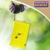 imageBonide Bug Beater Stink Bug Trap Attracts and Catches Stink Bugs Indoors and Outdoors Long Lasting and Odorless Protection