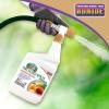 imageBonide Captain Jacks Citrus Fruit ampamp Nut Orchard Spray 32 oz Concentrate MultiPurpose Fungicide Insecticide and MiticideRTU
