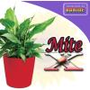imageBonide Captain Jacks MiteX for Houseplants 12 oz ReadytoUse Spray for Insect Control