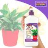imageBonide Captain Jacks MiteX for Houseplants 12 oz ReadytoUse Spray for Insect Control