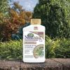 imageBonide Captain Jacks Neem Max 16 oz Concentrated Cold Pressed Neem Oil MultiPurpose Insecticide Fungicide Miticide and Nematicide for Organic GardeningConcentrate