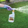 imageBonide Captain Jacks Neem Max 16 oz ReadytoSpray Cold Pressed Neem Oil MultiPurpose Insecticide Fungicide Miticide and Nematicide for Organic Gardening