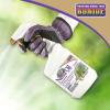 imageBonide Captain Jacks Neem Oil 32 oz ReadytoUse Spray MultiPurpose Fungicide Insecticide and Miticide for Organic GardeningReadytoUse
