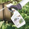 imageBonide Captain Jacks Neem Oil 32 oz ReadytoUse Spray MultiPurpose Fungicide Insecticide and Miticide for Organic GardeningReadytoUse