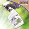 imageBonide Captain Jacks Neem Oil 32 oz ReadytoUse Spray MultiPurpose Fungicide Insecticide and Miticide for Organic GardeningReadytoUse