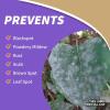 imageBonide Captain Jacks Tomato ampamp Vegetable Spray 32 oz ReadytoUse Spray Insect ampamp Disease Control for Organic Gardening32 oz